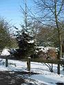 Snowy_Weather_Feb_09 (26)